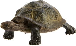 295329 Desert Tortoise