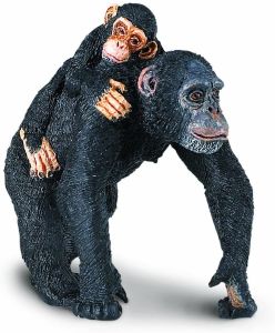 295929 Chimpanzee with Baby on back