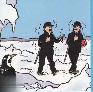 Tintin Moulinsart Postcard Carte Double 15x15cm - 3118202 Pingouin
