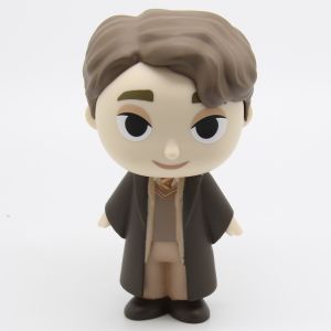 Funko Mystery Minis Harry Potter S3 Tom Riddle Hot Topic Exlusive 1/24