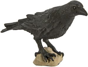 150829 Raven