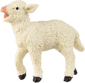 233729 Lamb