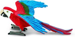 263929 Green Winged Macaw