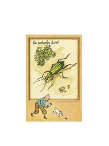 Tintin Moulinsart Postcard 13,5x9cm - 30303 La carabe dorè