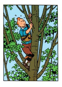 Tintin Moulinsart Double Postcard 16,5x12,5cm - 31026 Tintin dans L'albre
