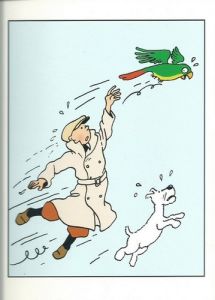 Tintin Moulinsart Double Postcard 16,5x12,5cm - 31132 Tintin Perroquet