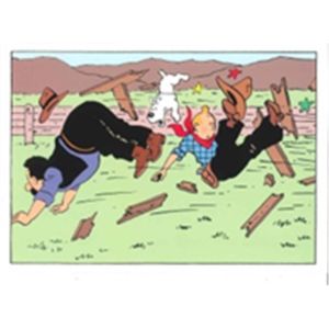 Tintin Moulinsart Double Postcard 16,5x12,5cm - 31129 Tintin Cow Boy