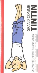 Tintin Cartoleria 24334 Yoga height chart - French Version