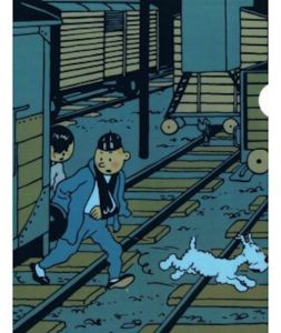 Tintin Cartoleria 15141 Plastic Sleeves - A4 Lotus p51