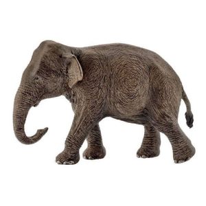 Schleich Wild Life 14753 Asiatic Elephant Female