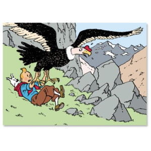 Tintin Moulisart Poster 20240 Condor poster 70x50cm