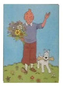 Tintin Moulinsart Postcard 13,5x9cm - 30183 Fleurs
