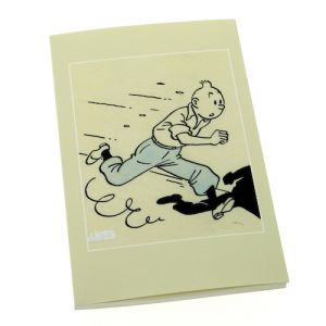 Tintin Cartoleria 54365 Carnets de note « L’Art d’Hergé » 125x200